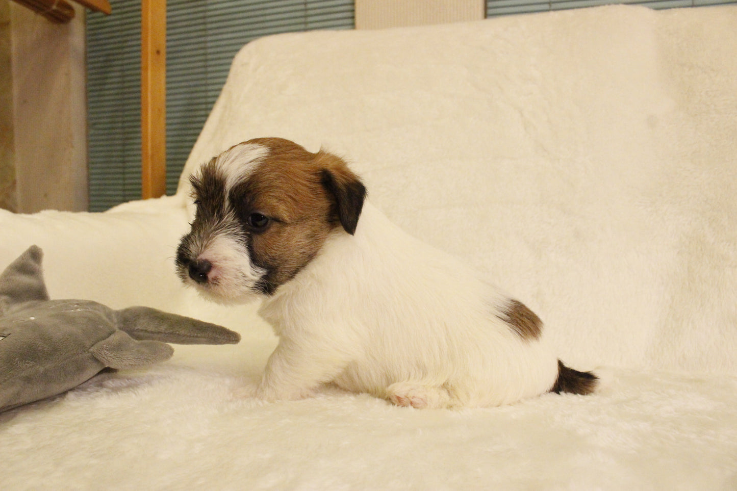 ミルベビー② 男の子