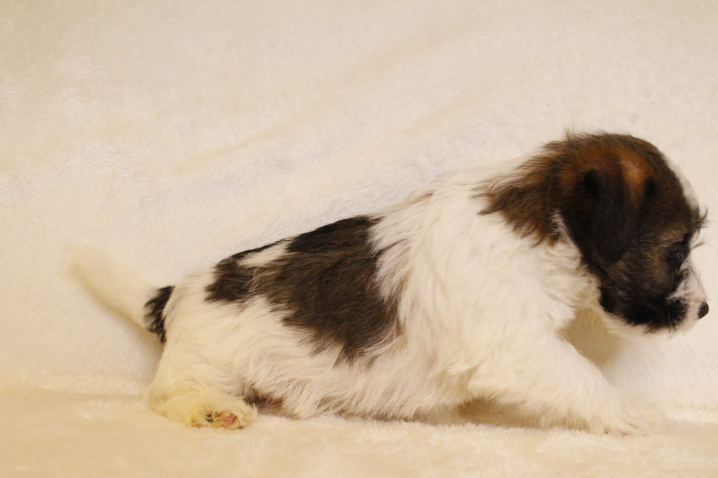 ミルベビー④ 男の子