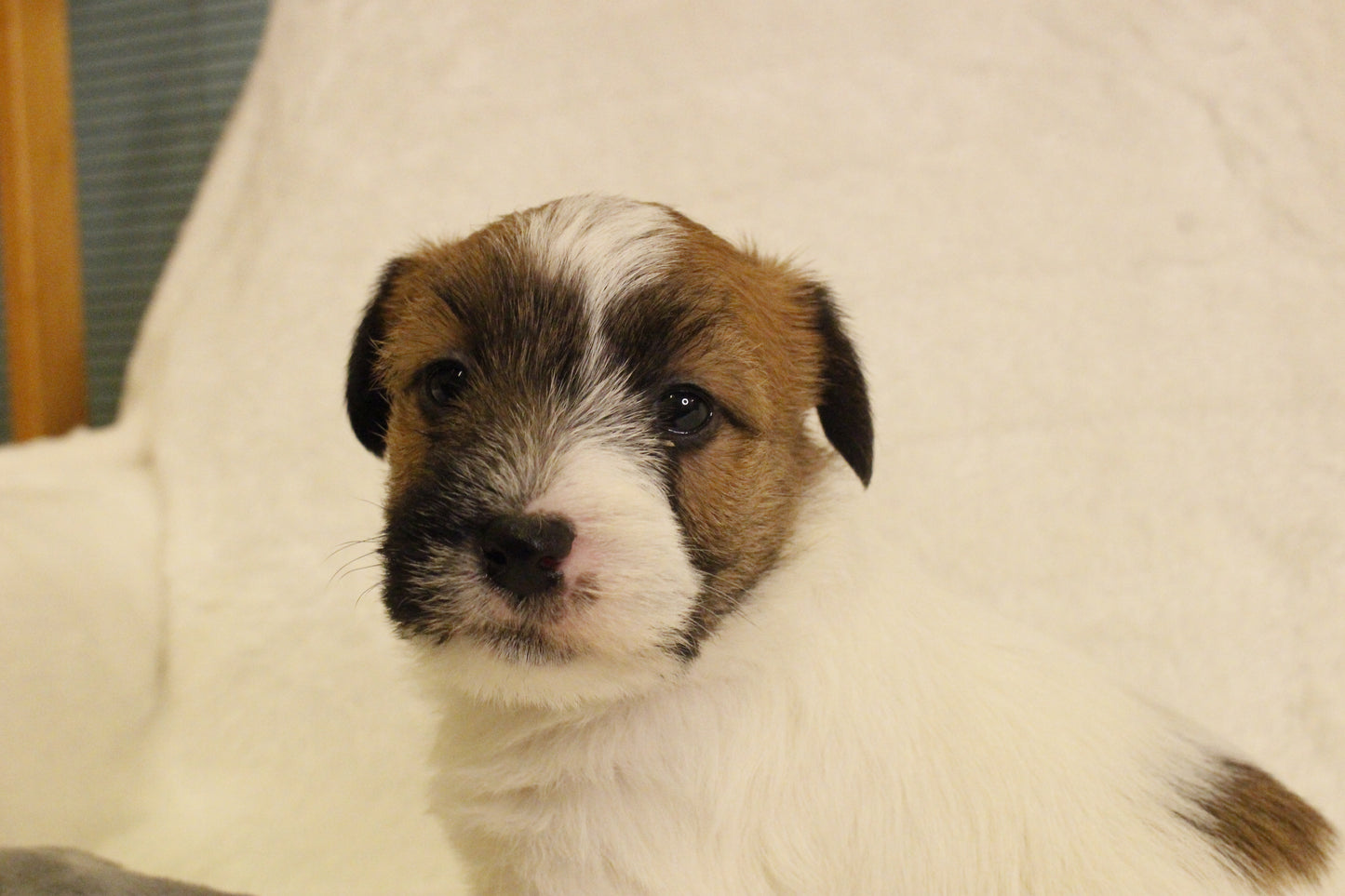 ミルベビー② 男の子