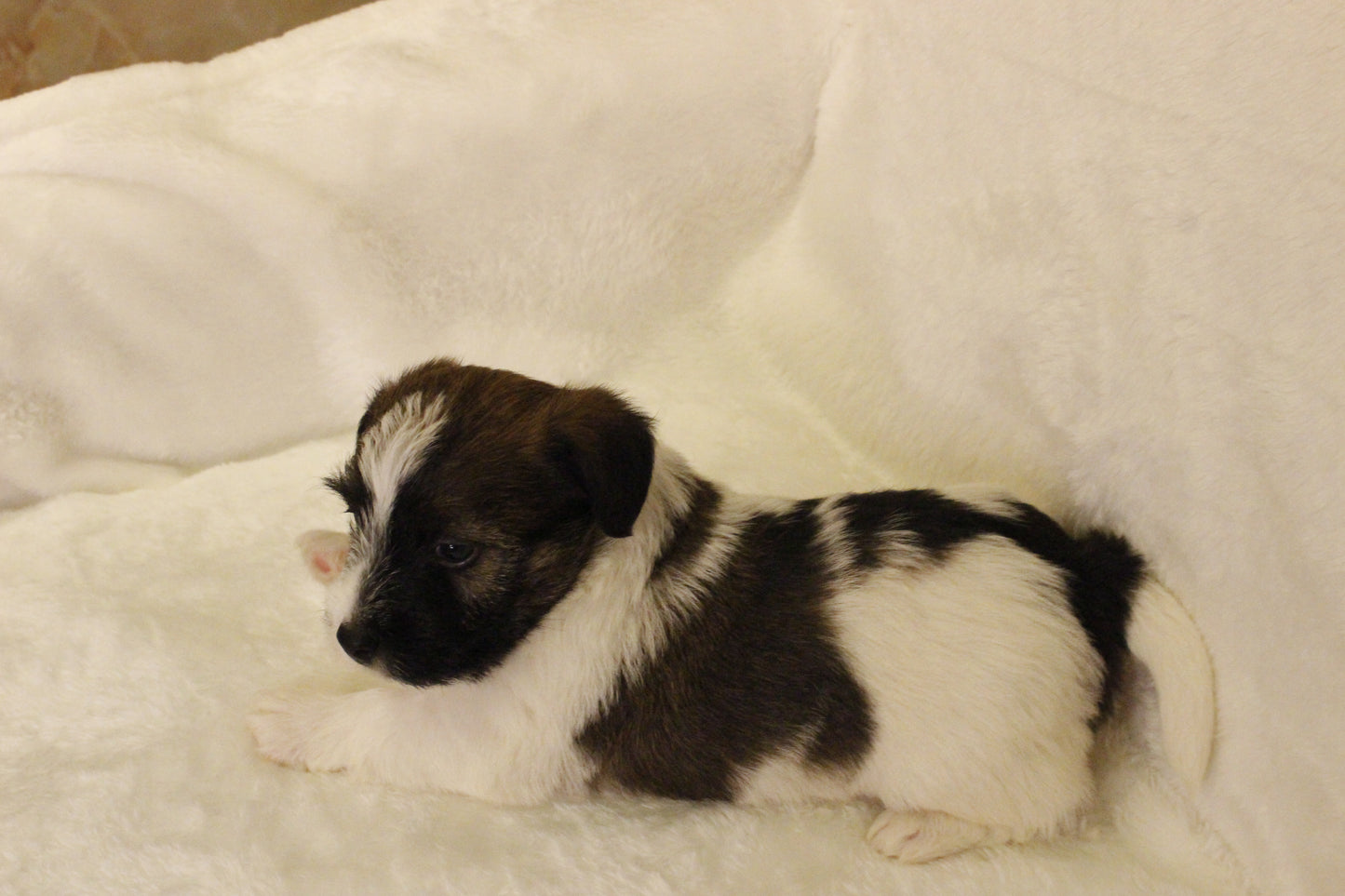 ミルベビー④ 男の子