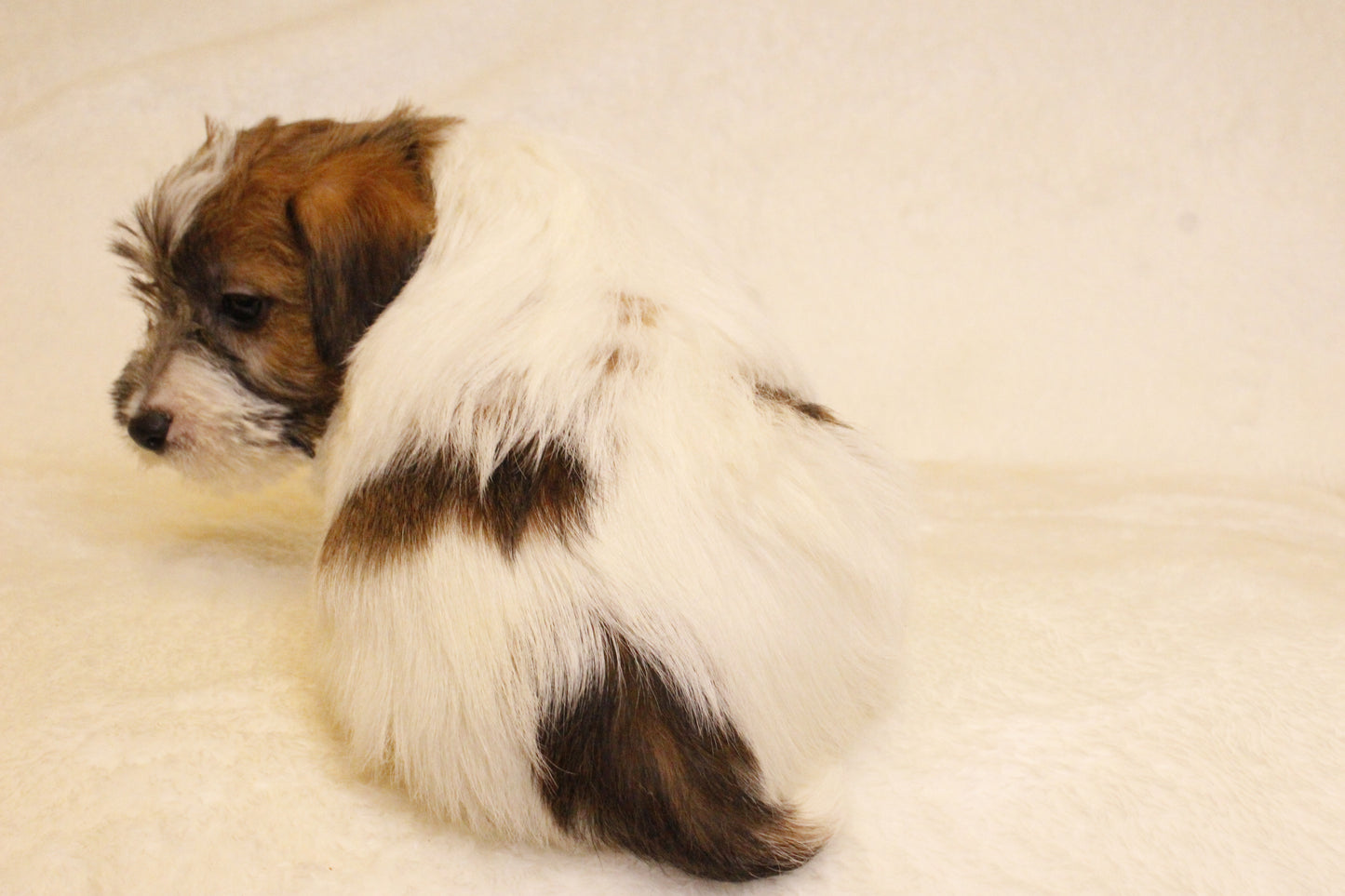 ミルベビー② 男の子