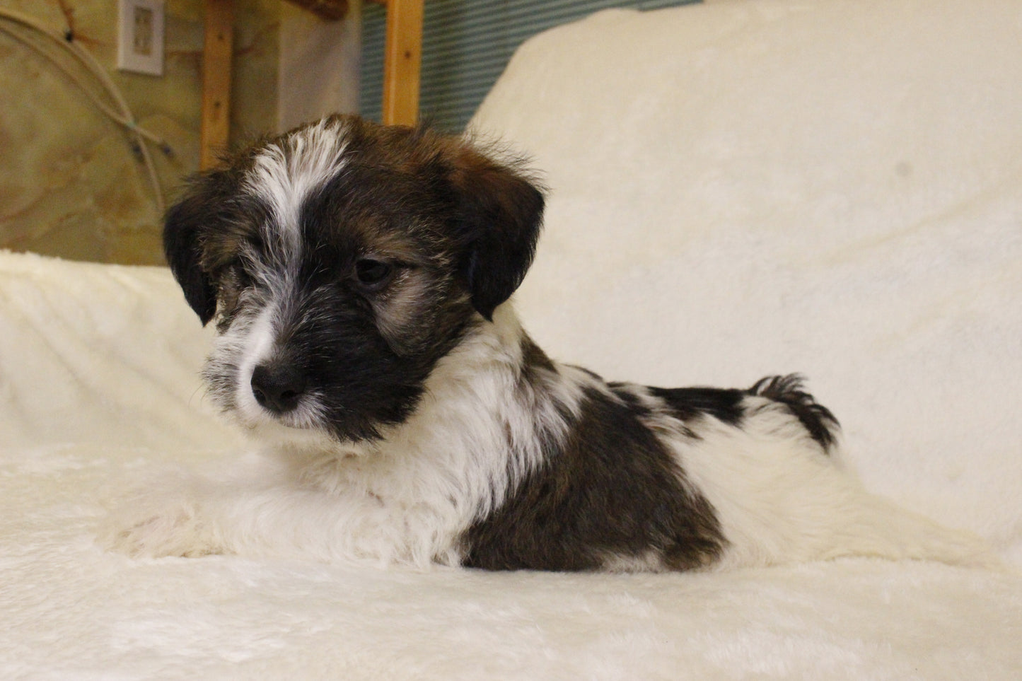 ミルベビー④ 男の子