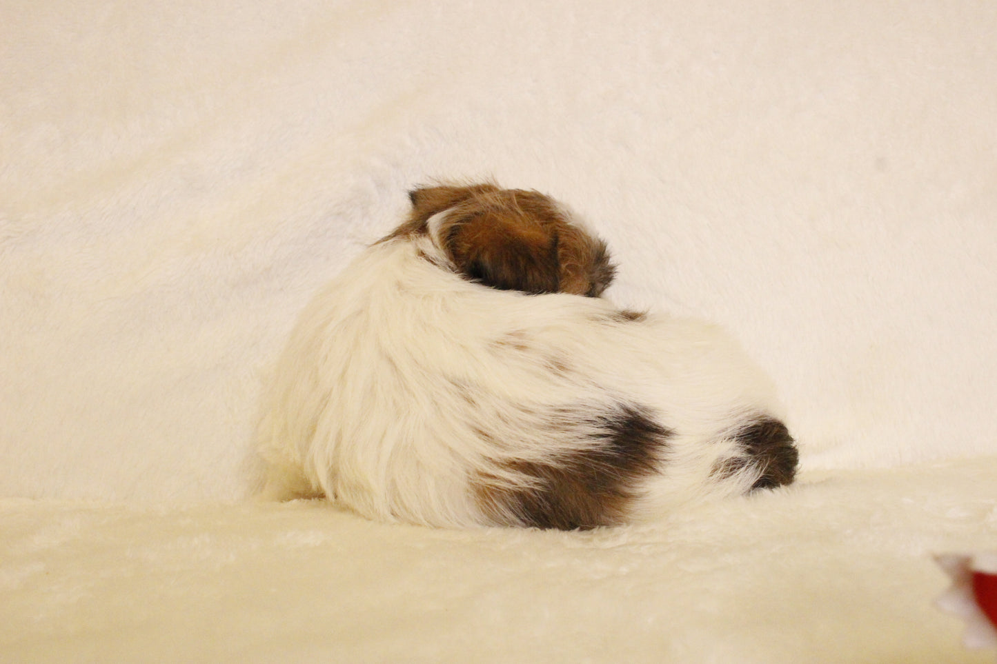 ミルベビー② 男の子