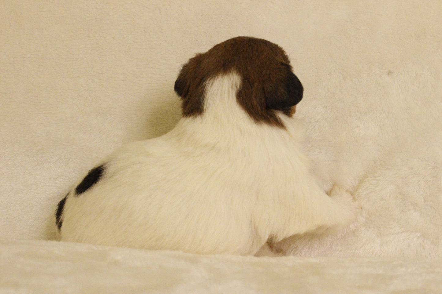 ミルベビー③ 女の子