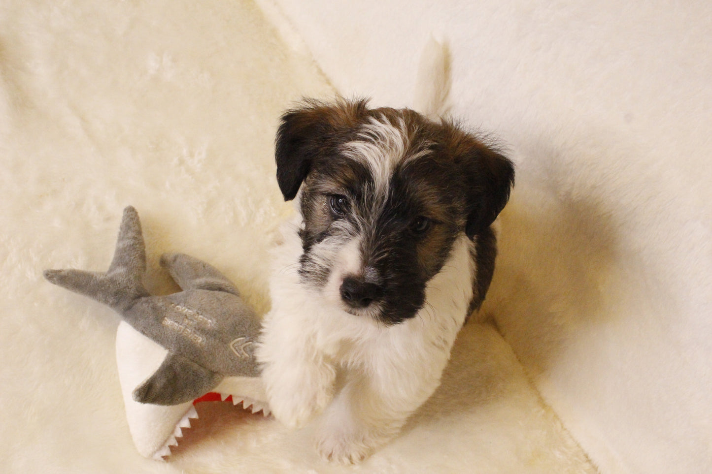 ミルベビー④ 男の子