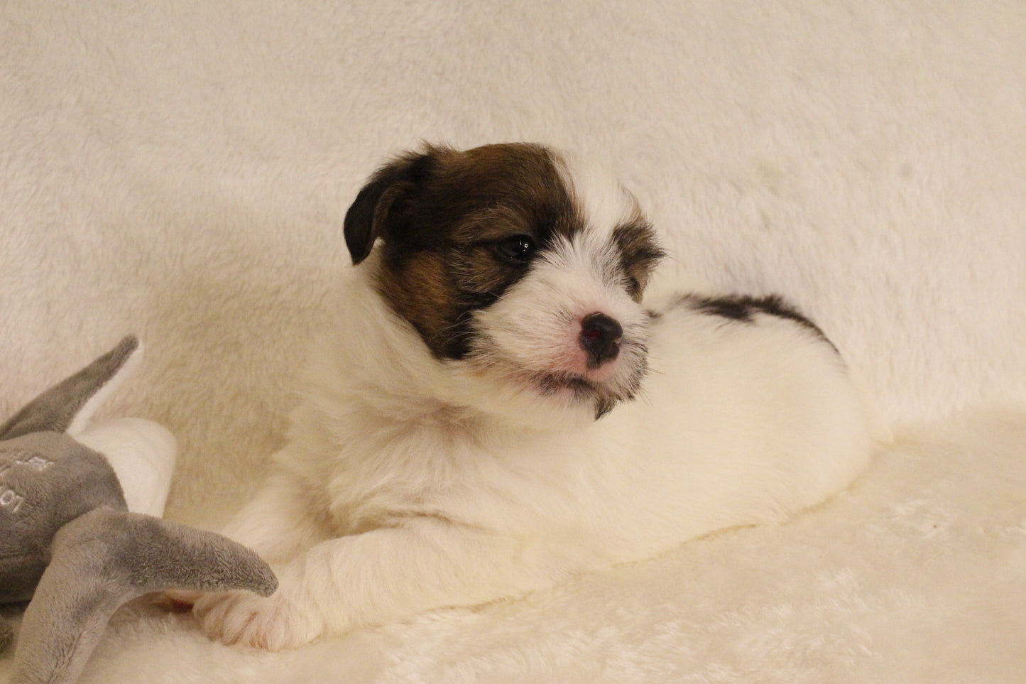 ミルベビー① 男の子