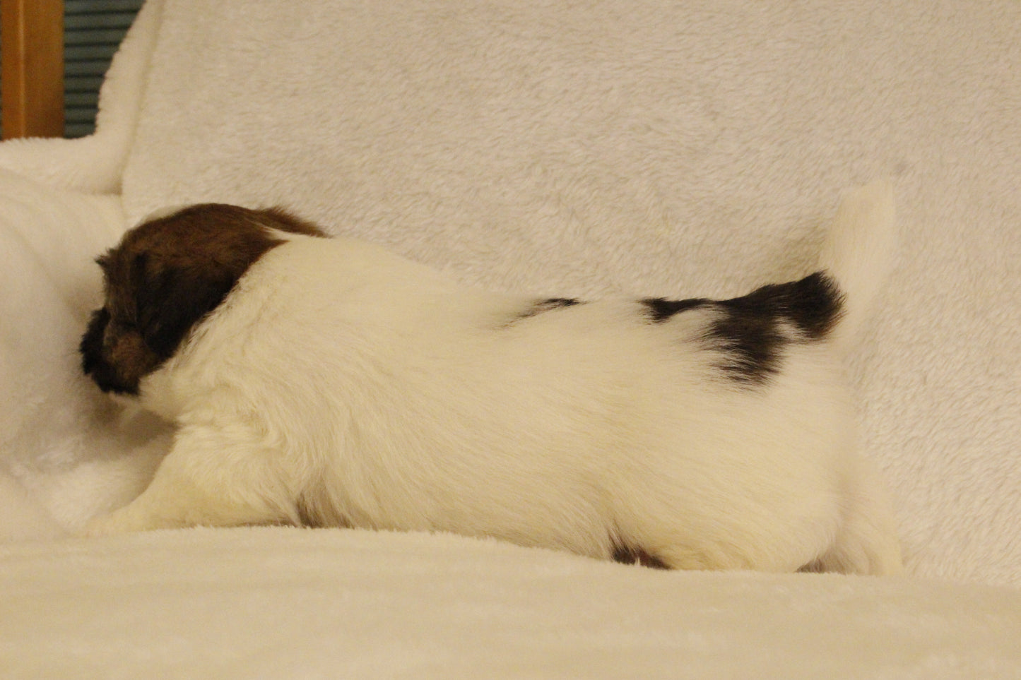 ミルベビー① 男の子