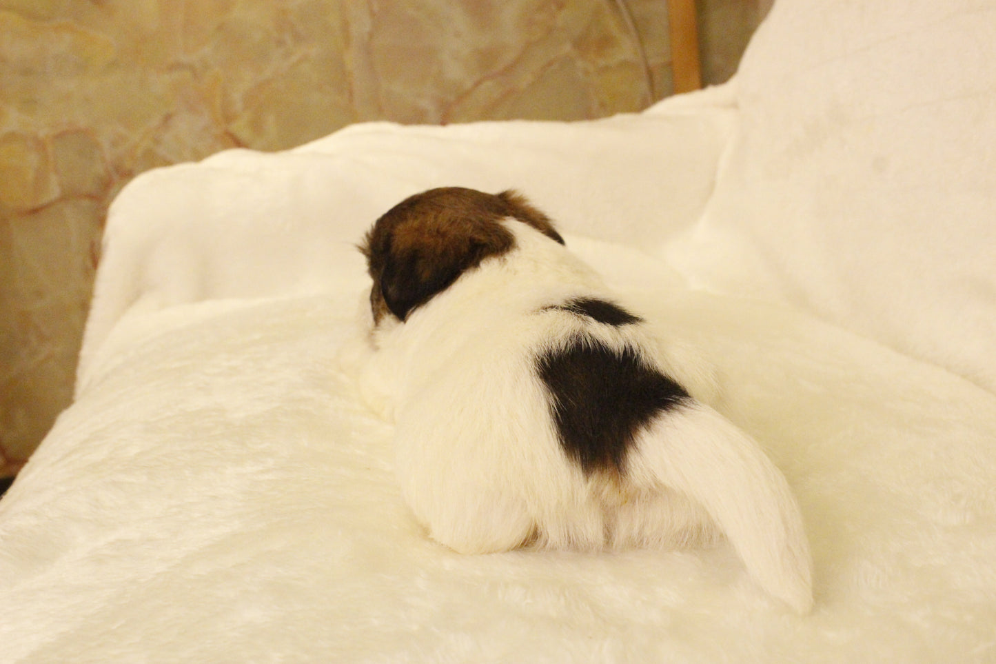 ミルベビー③ 女の子