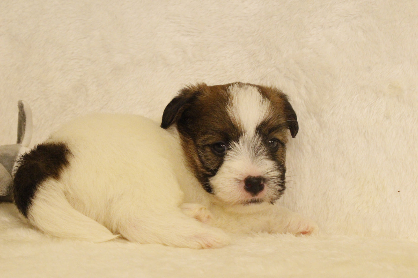 ミルベビー① 男の子