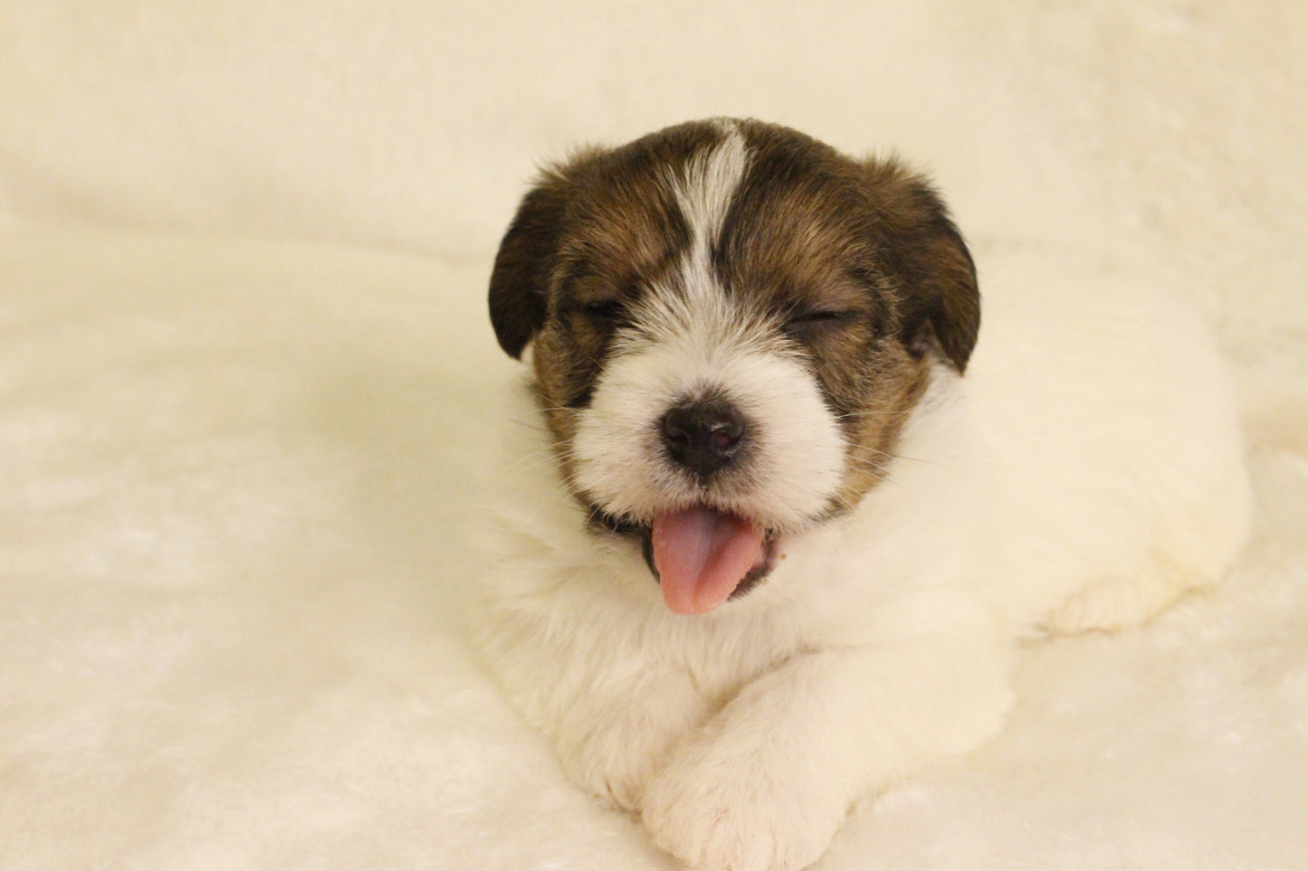 ミルベビー③ 女の子