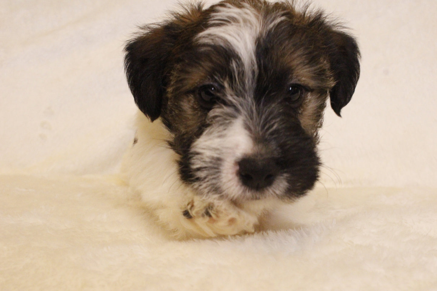 ミルベビー④ 男の子