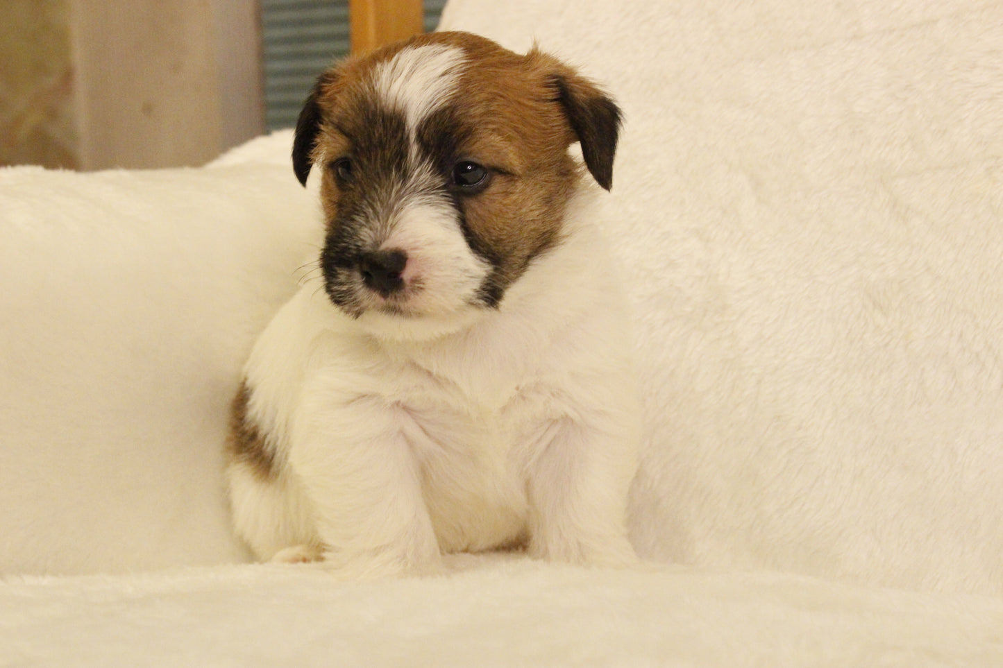 ミルベビー② 男の子