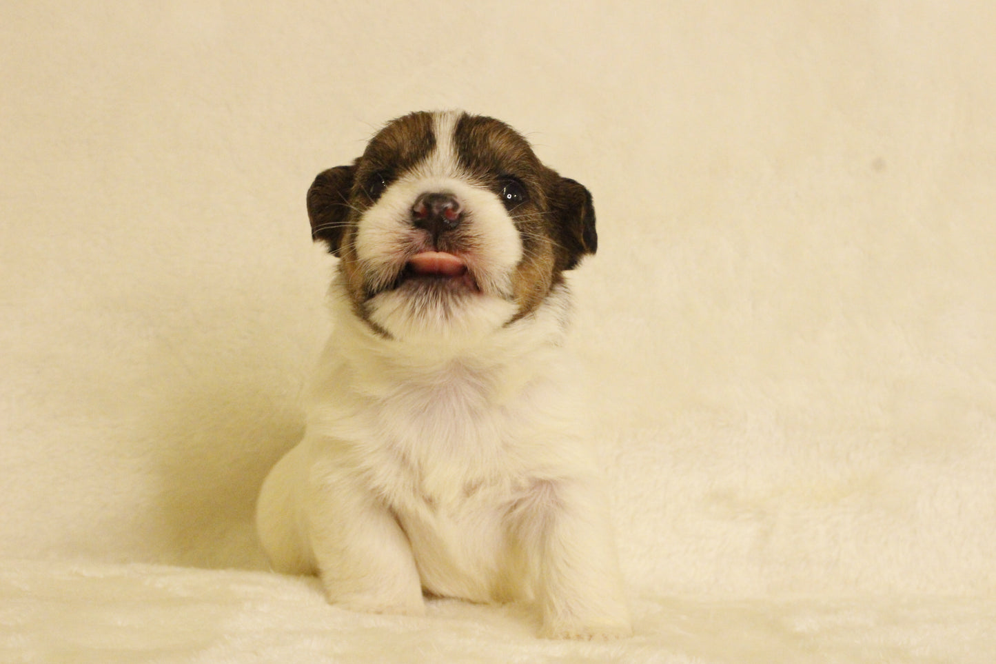 ミルベビー③ 女の子