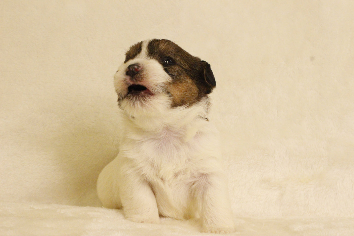 ミルベビー③ 女の子