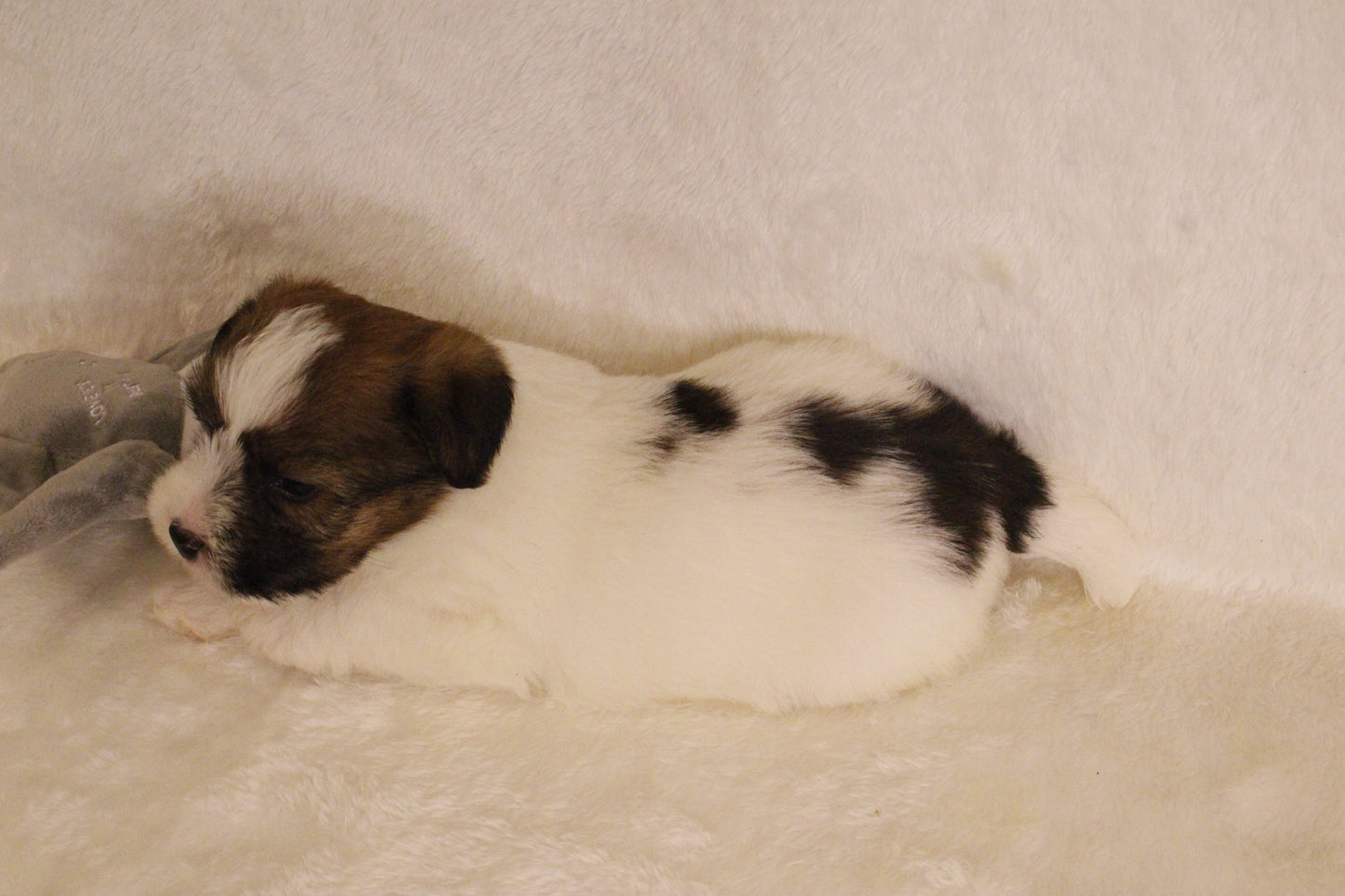 ミルベビー① 男の子