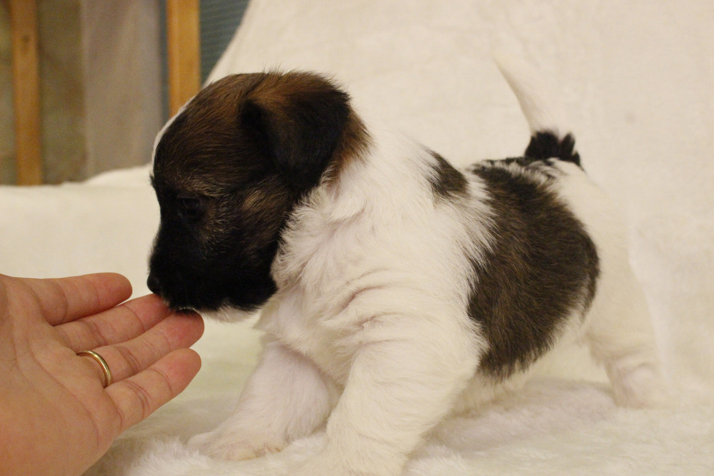 ミルベビー④ 男の子