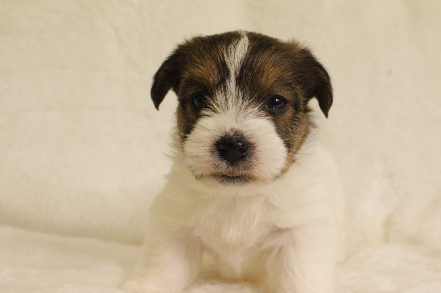 ミルベビー③ 女の子