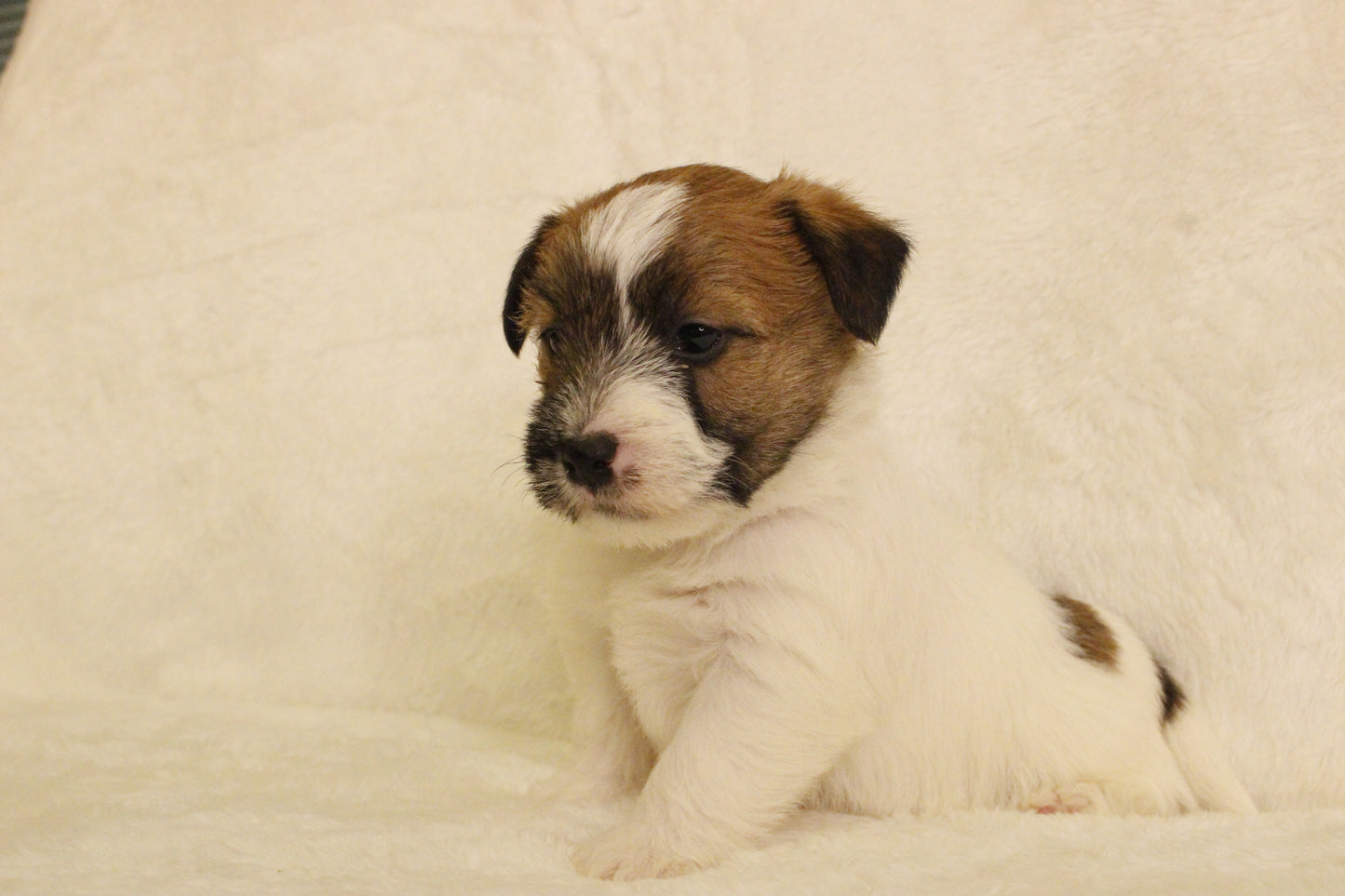 ミルベビー② 男の子