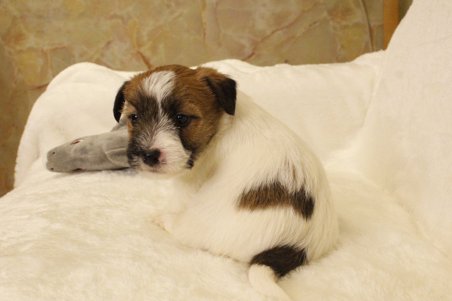 ミルベビー② 男の子