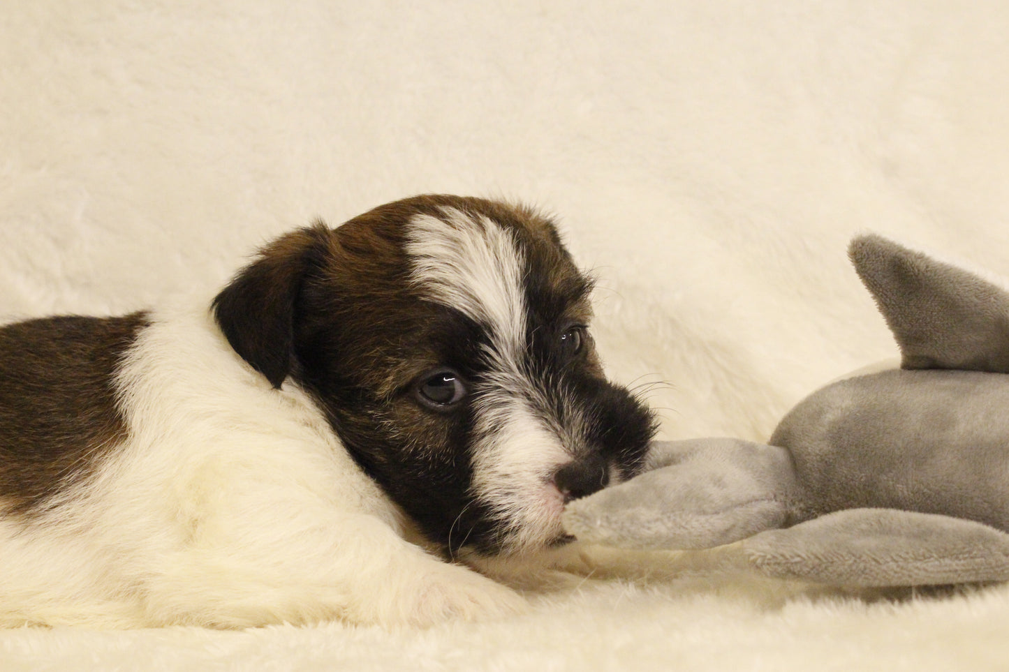 ミルベビー④ 男の子