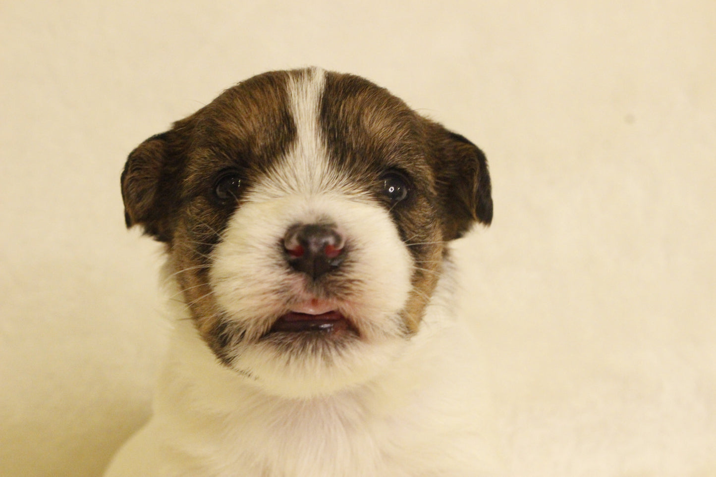 ミルベビー③ 女の子