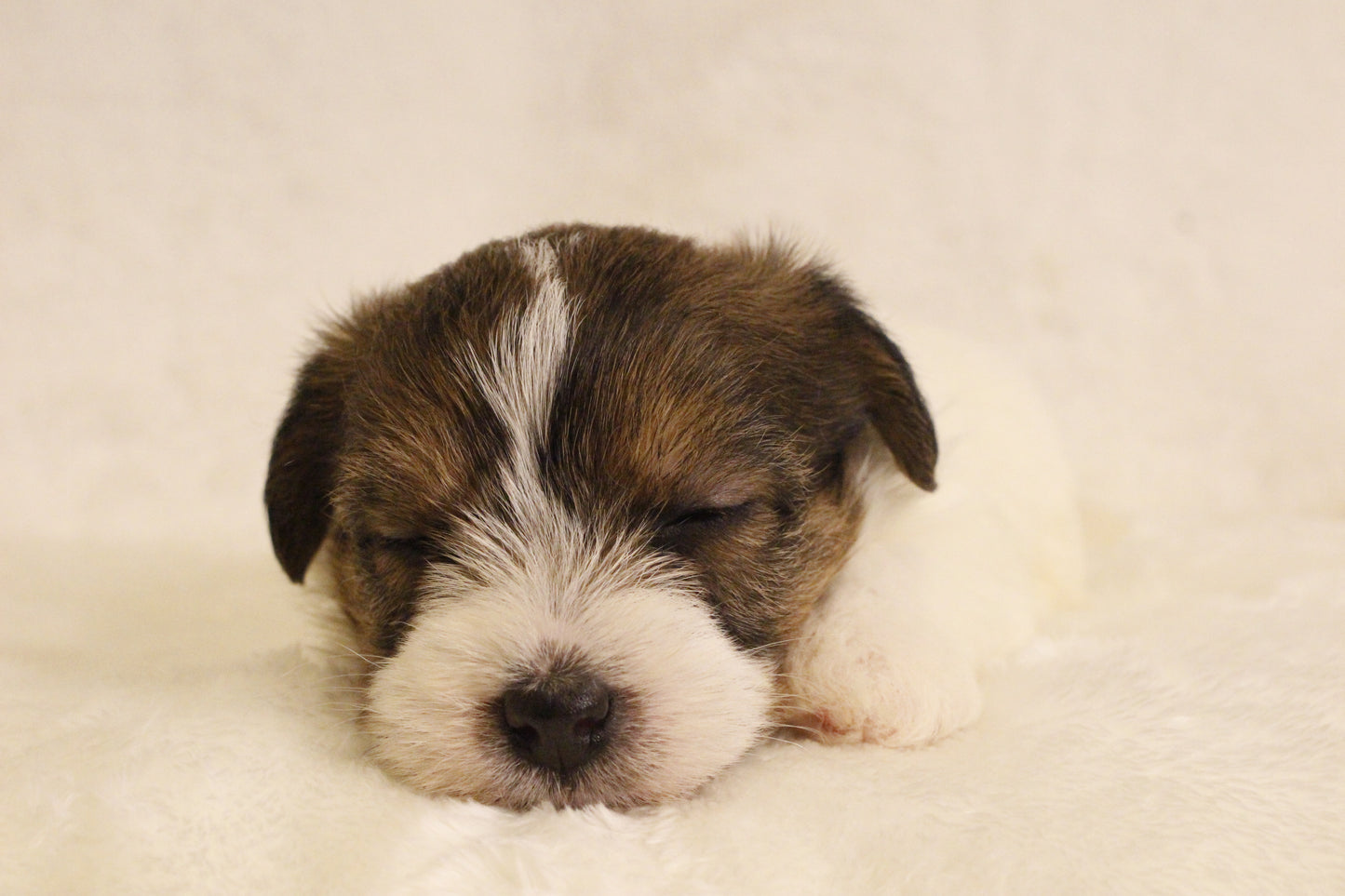 ミルベビー③ 女の子