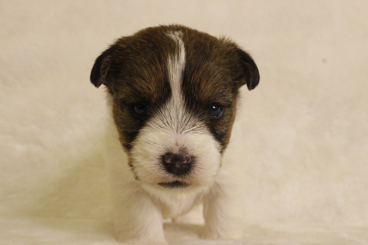 ミルベビー③ 女の子