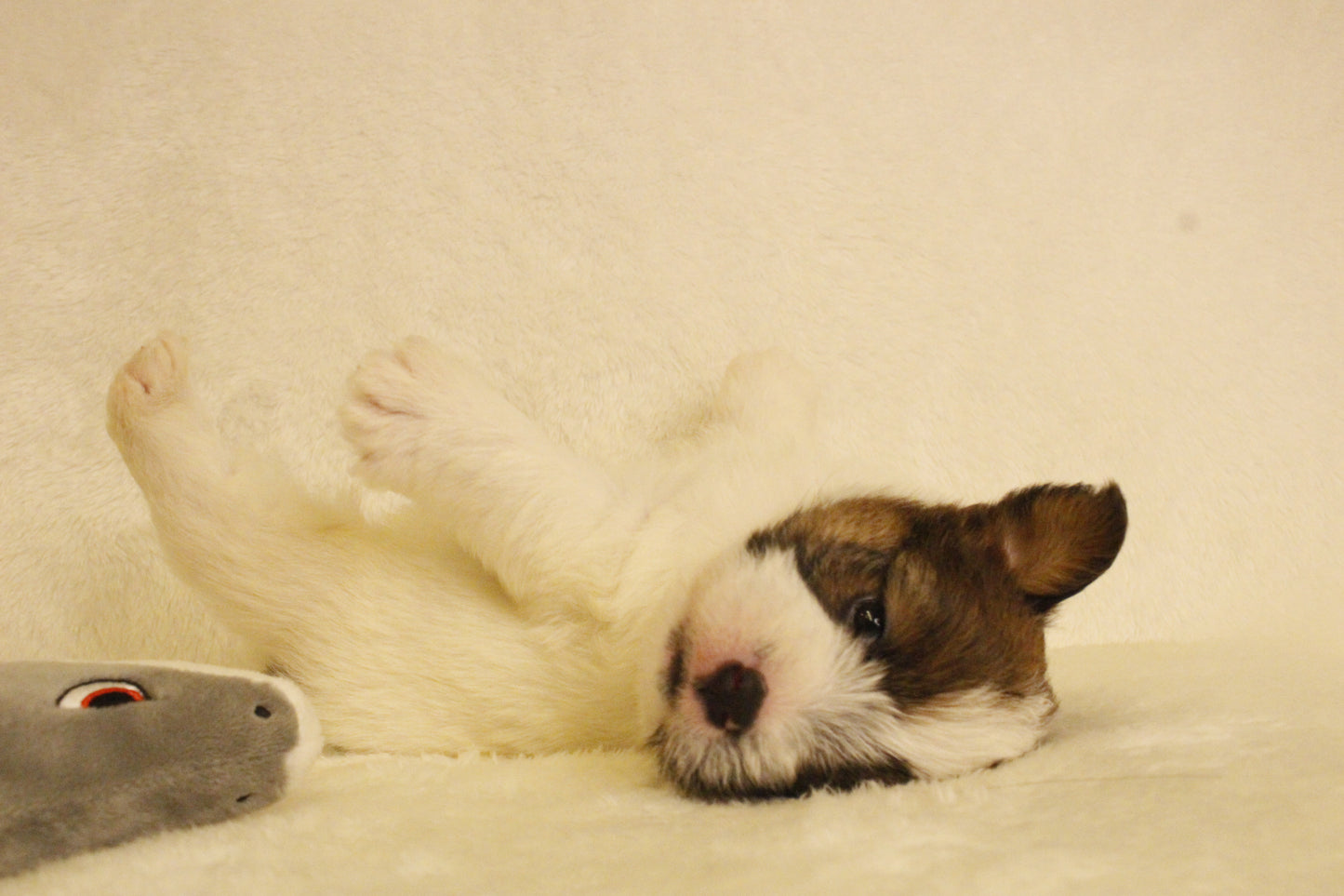 ミルベビー① 男の子