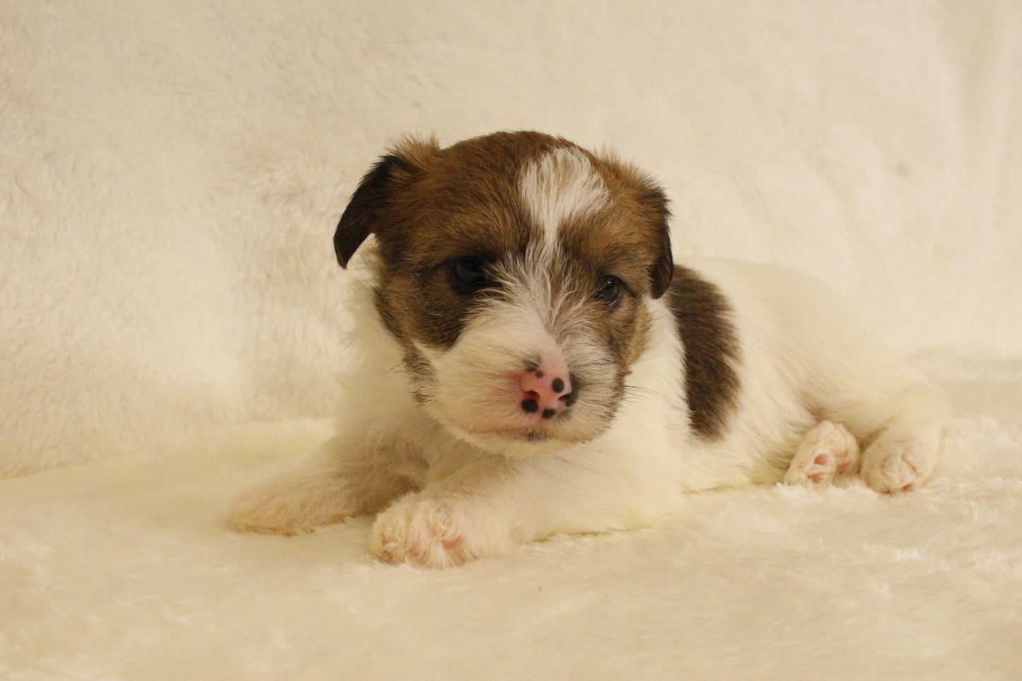 ミルベビー⑤ 女の子