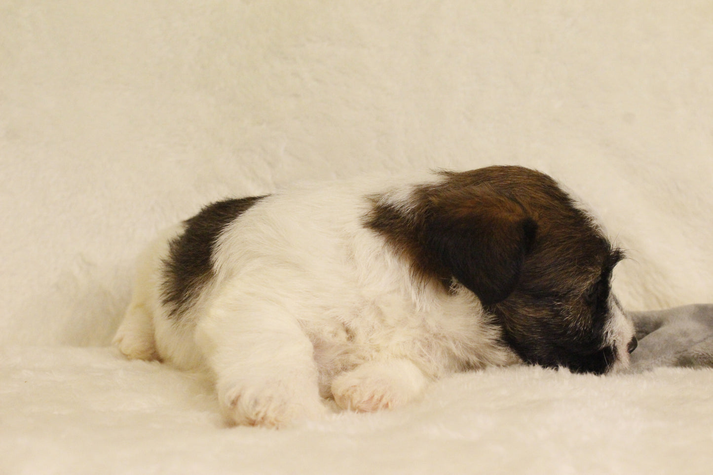 ミルベビー④ 男の子