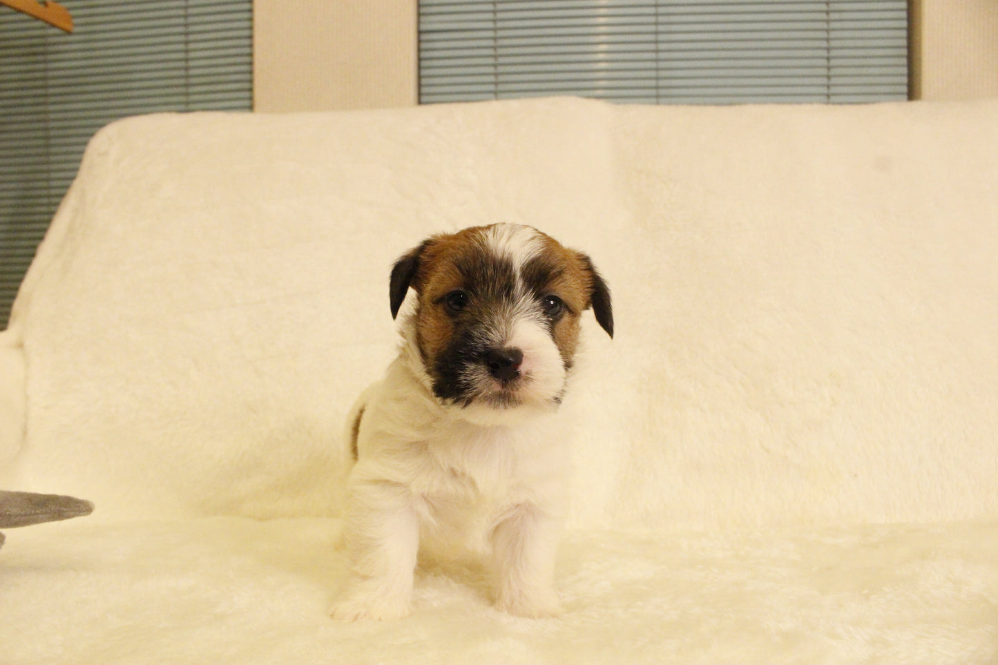 ミルベビー② 男の子