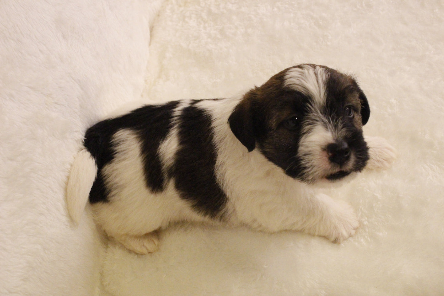 ミルベビー④ 男の子