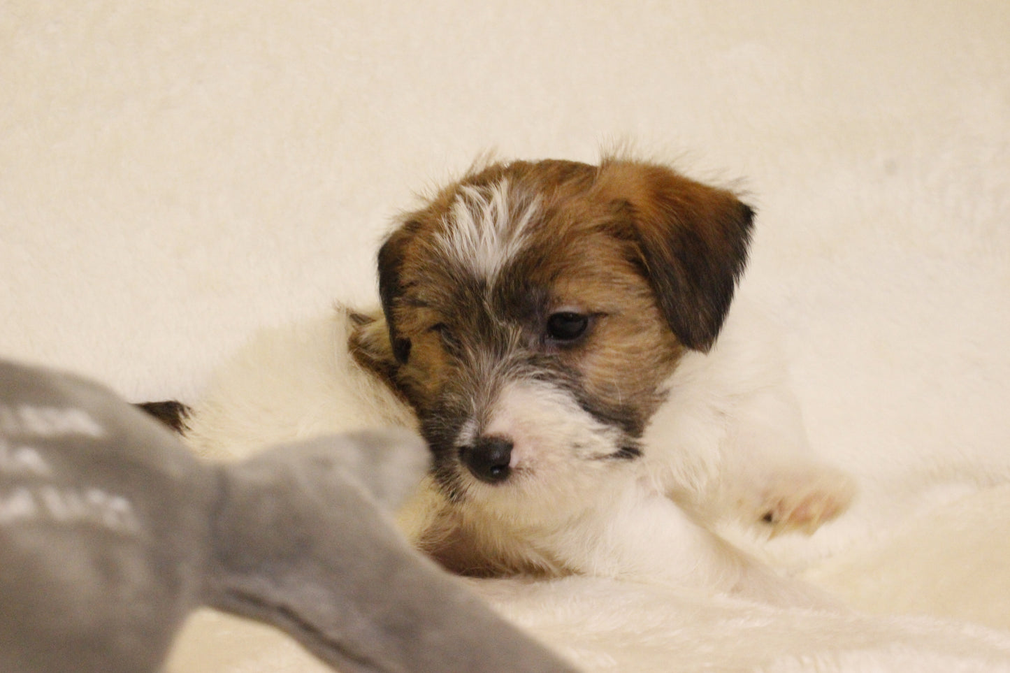 ミルベビー② 男の子