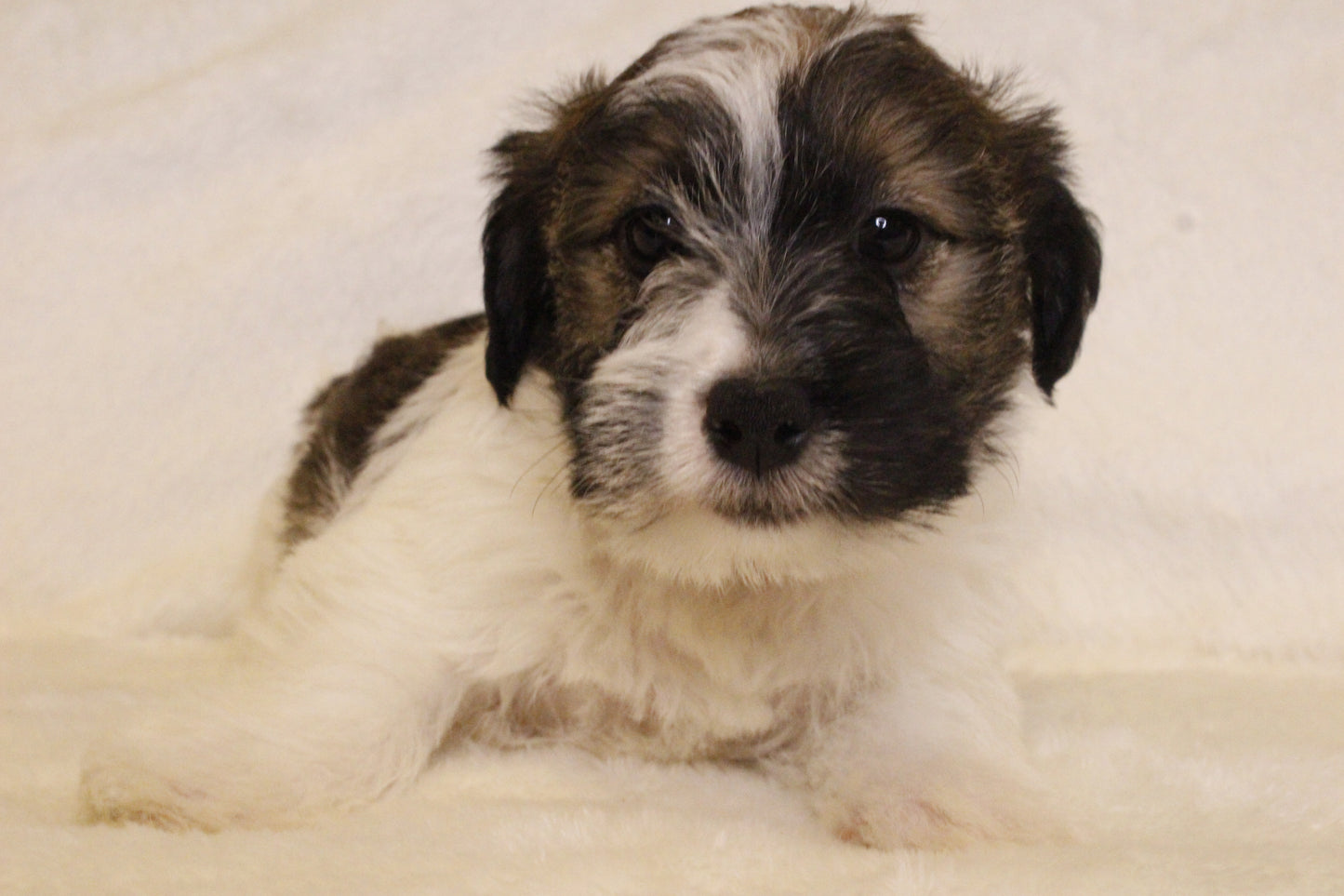 ミルベビー④ 男の子