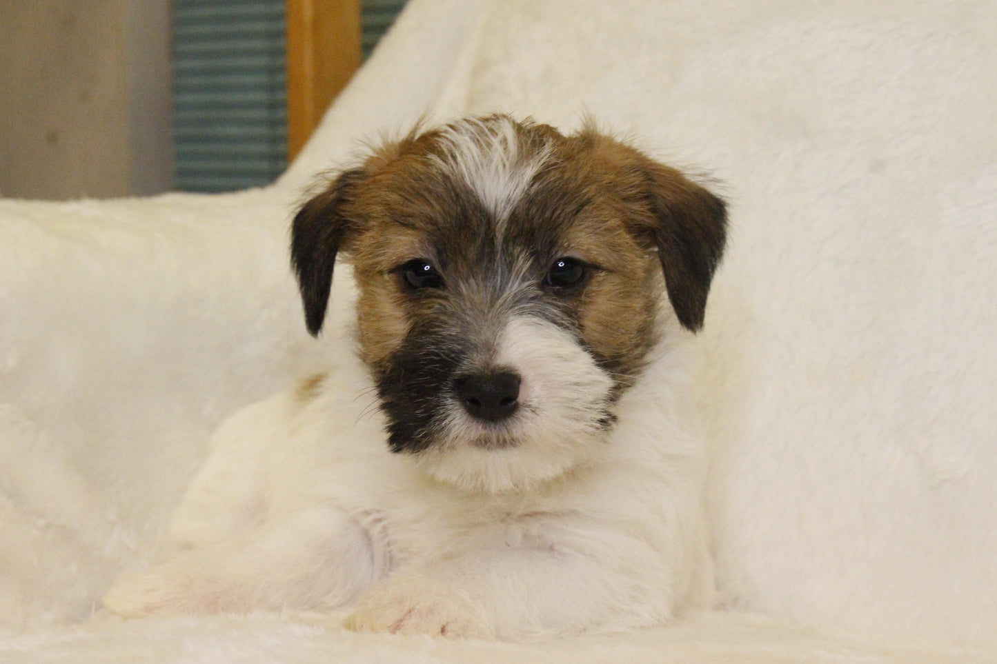 ミルベビー② 男の子