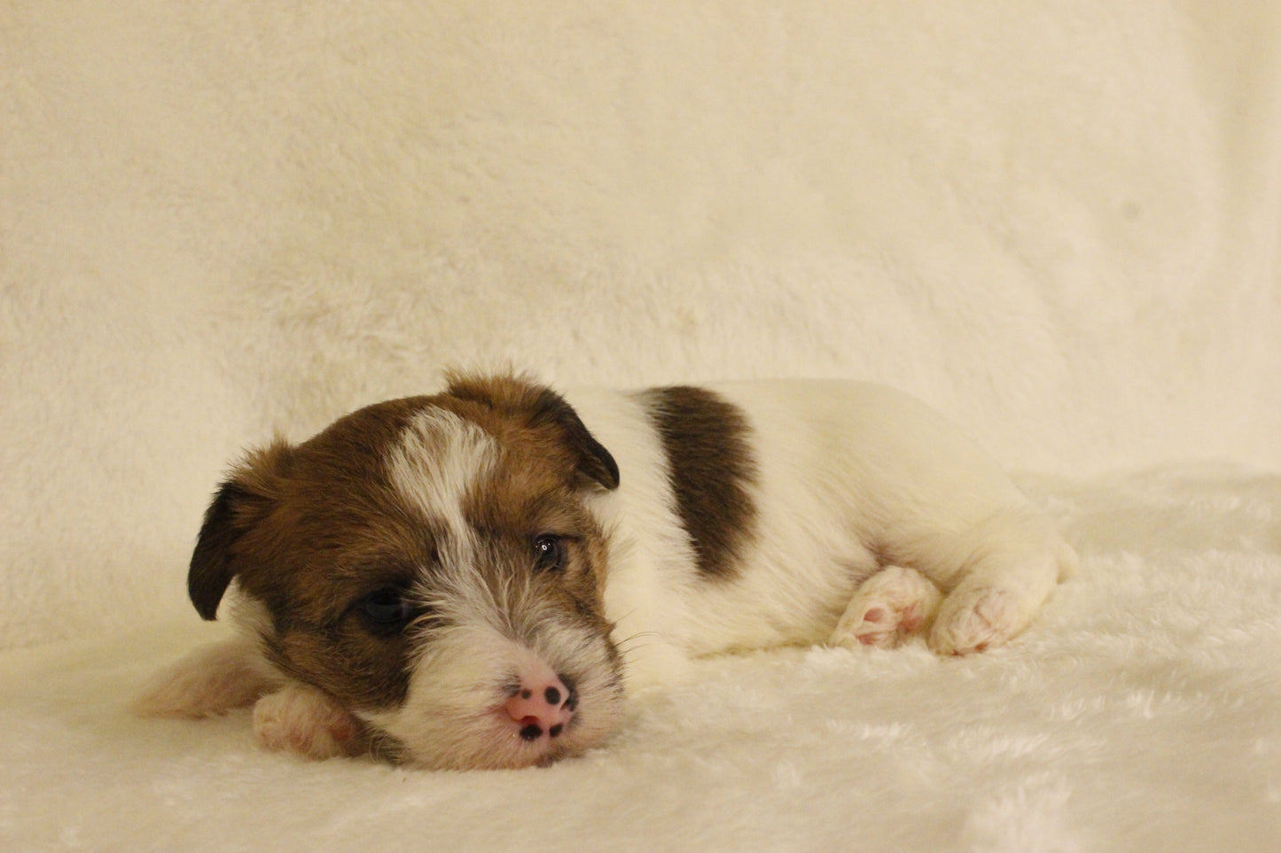 ミルベビー⑤ 女の子