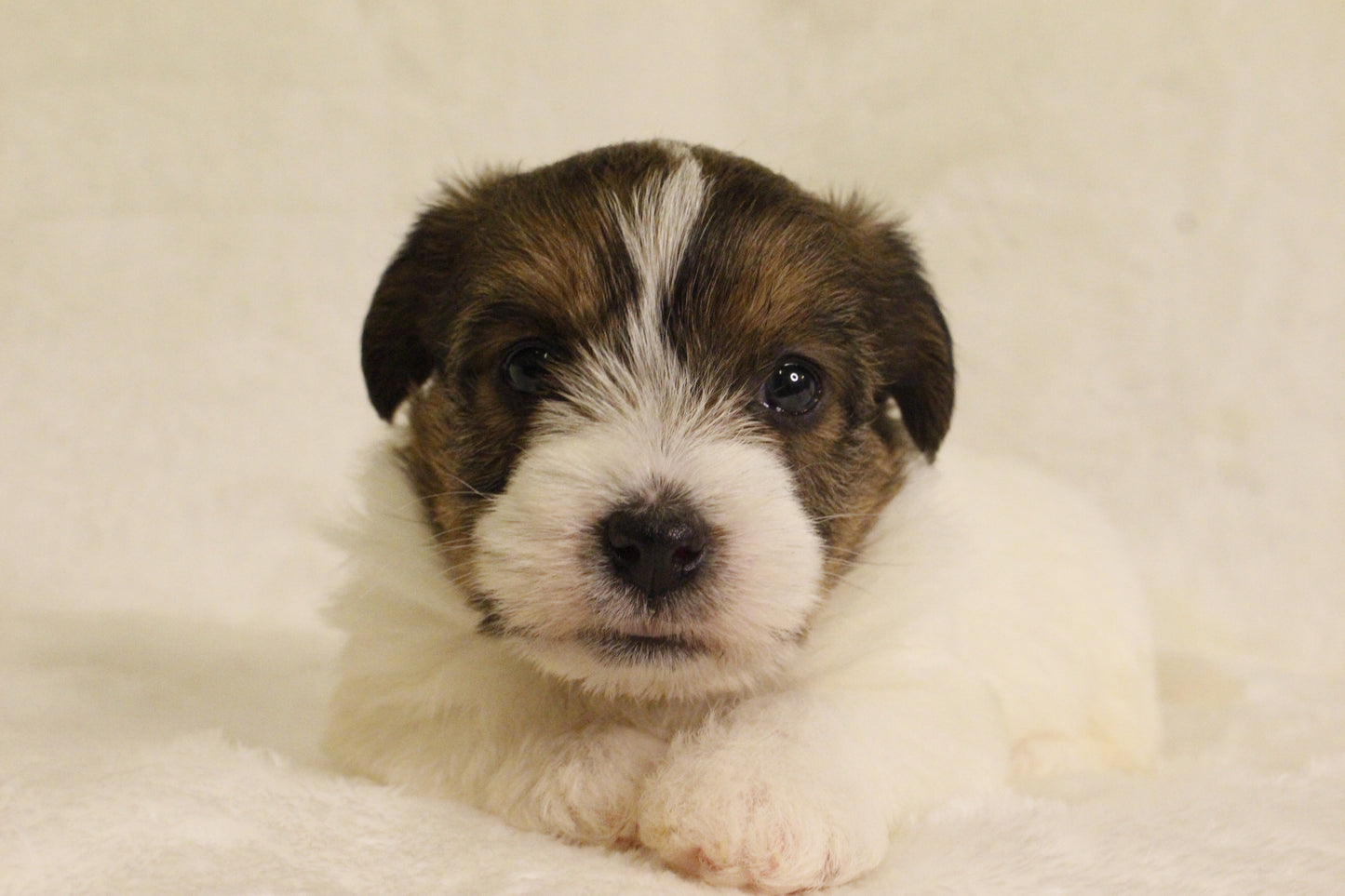 ミルベビー③ 女の子