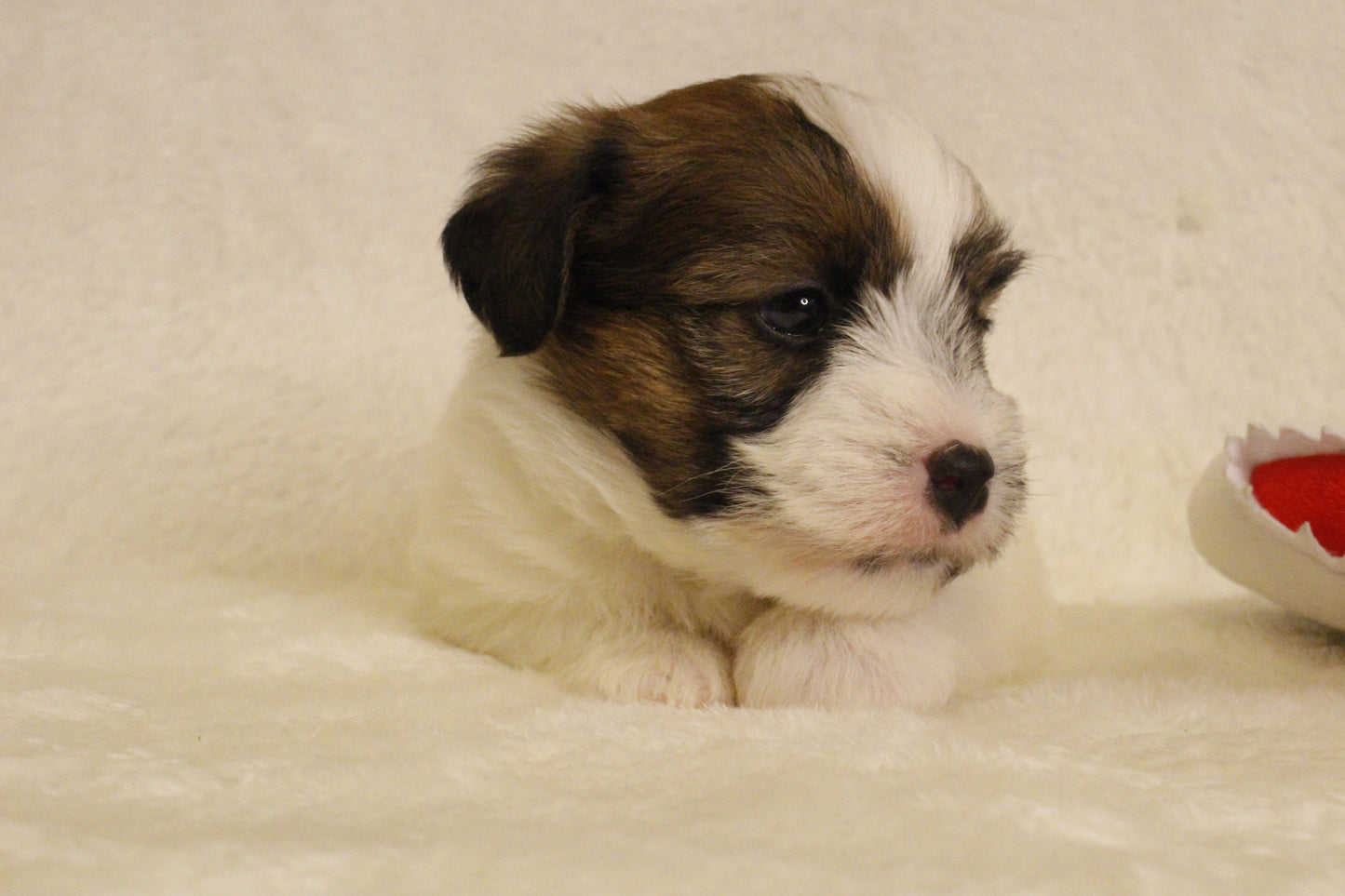 ミルベビー① 男の子