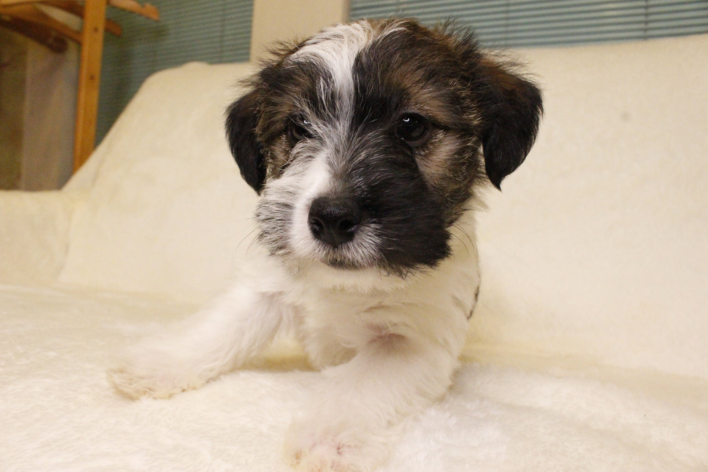 ミルベビー④ 男の子