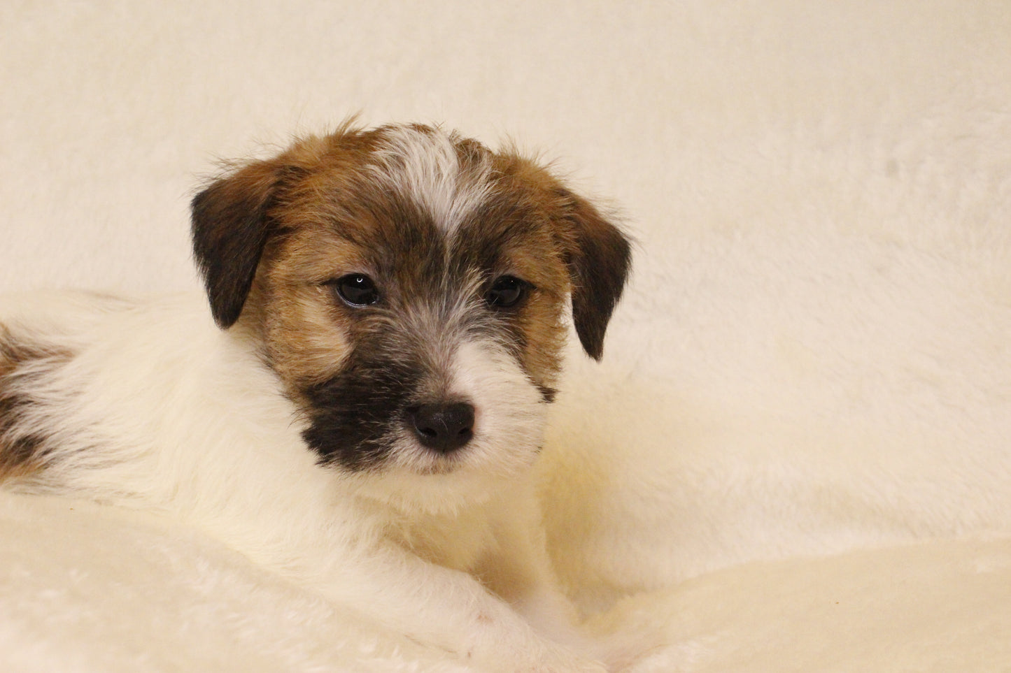 ミルベビー② 男の子