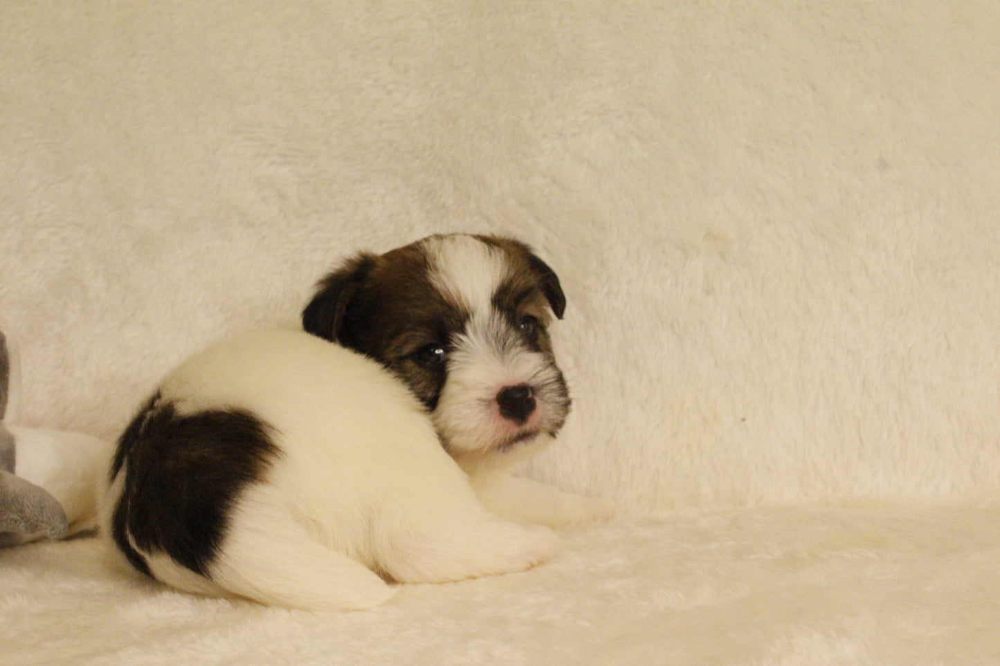 ミルベビー① 男の子