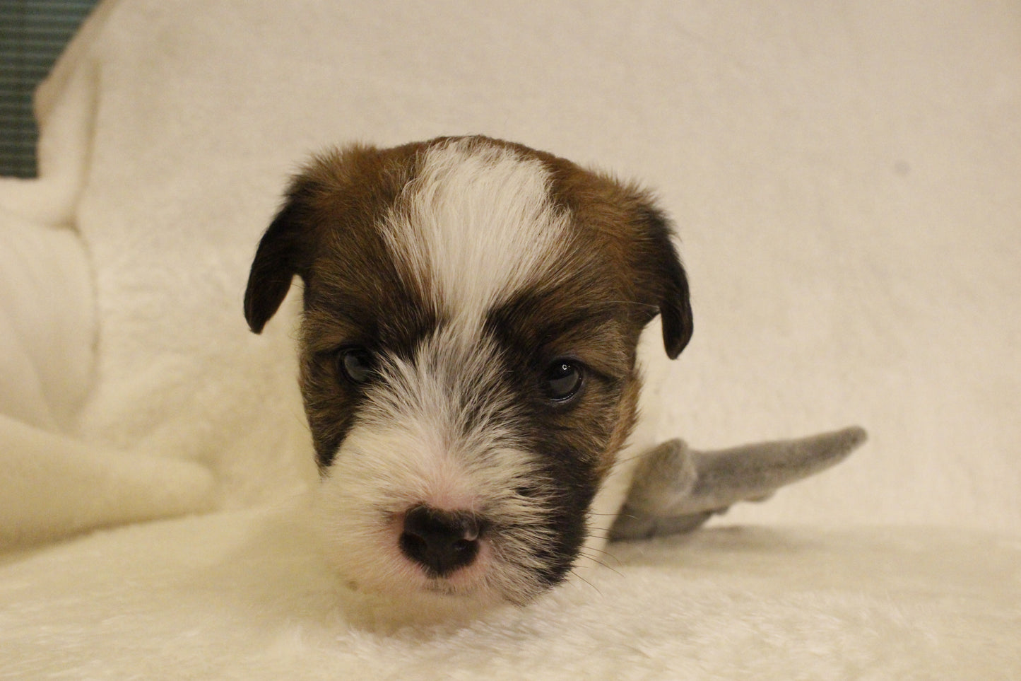 ミルベビー① 男の子