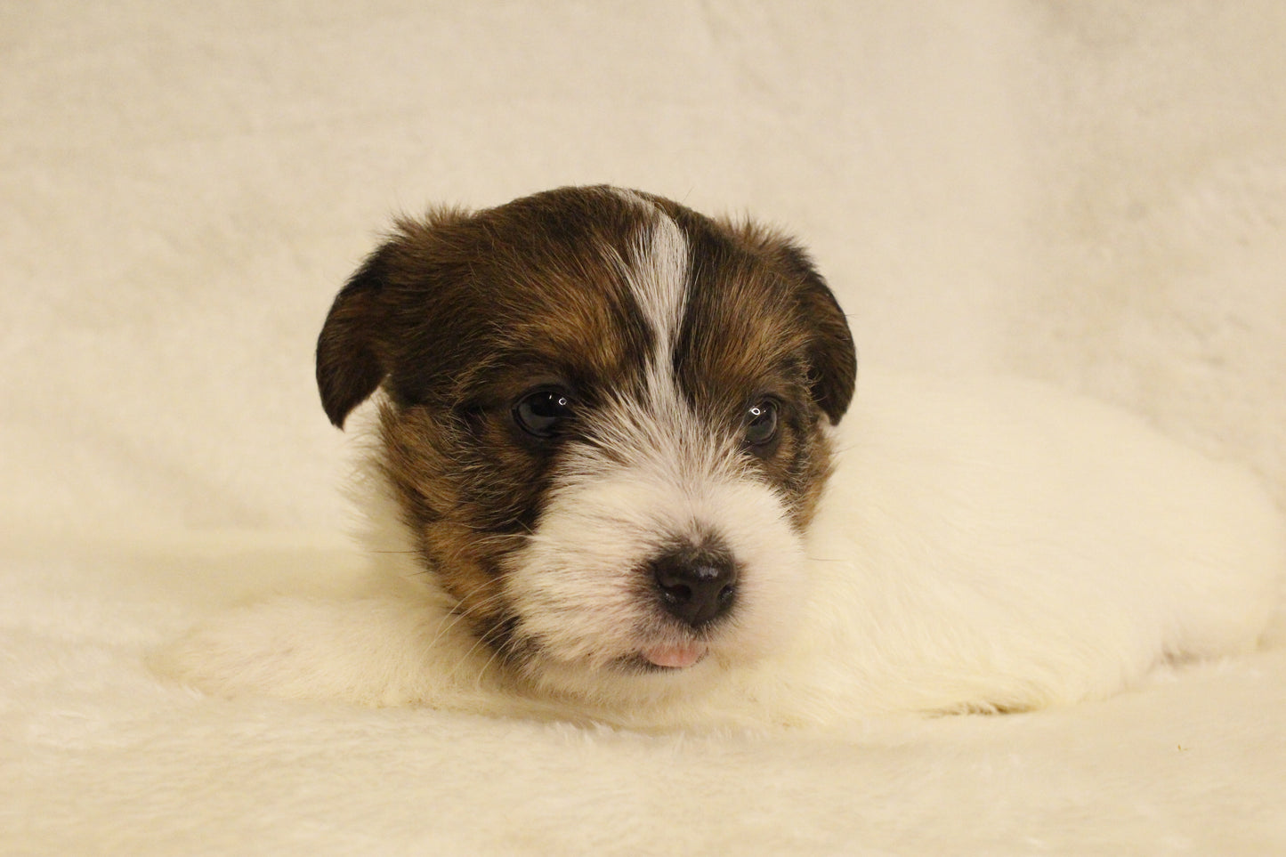 ミルベビー③ 女の子