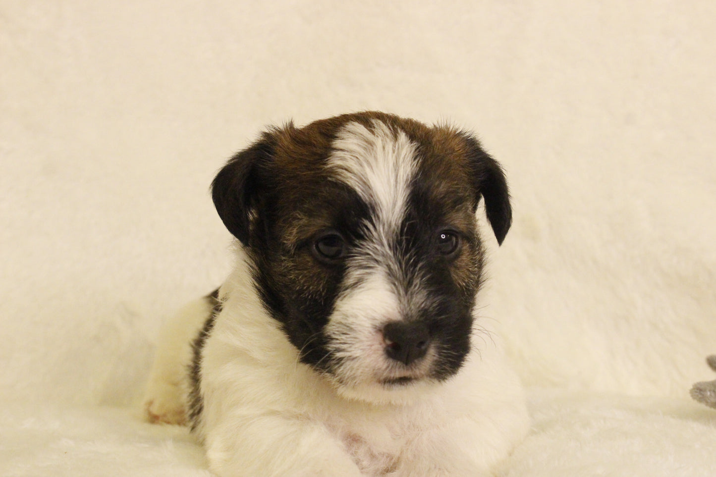 ミルベビー④ 男の子