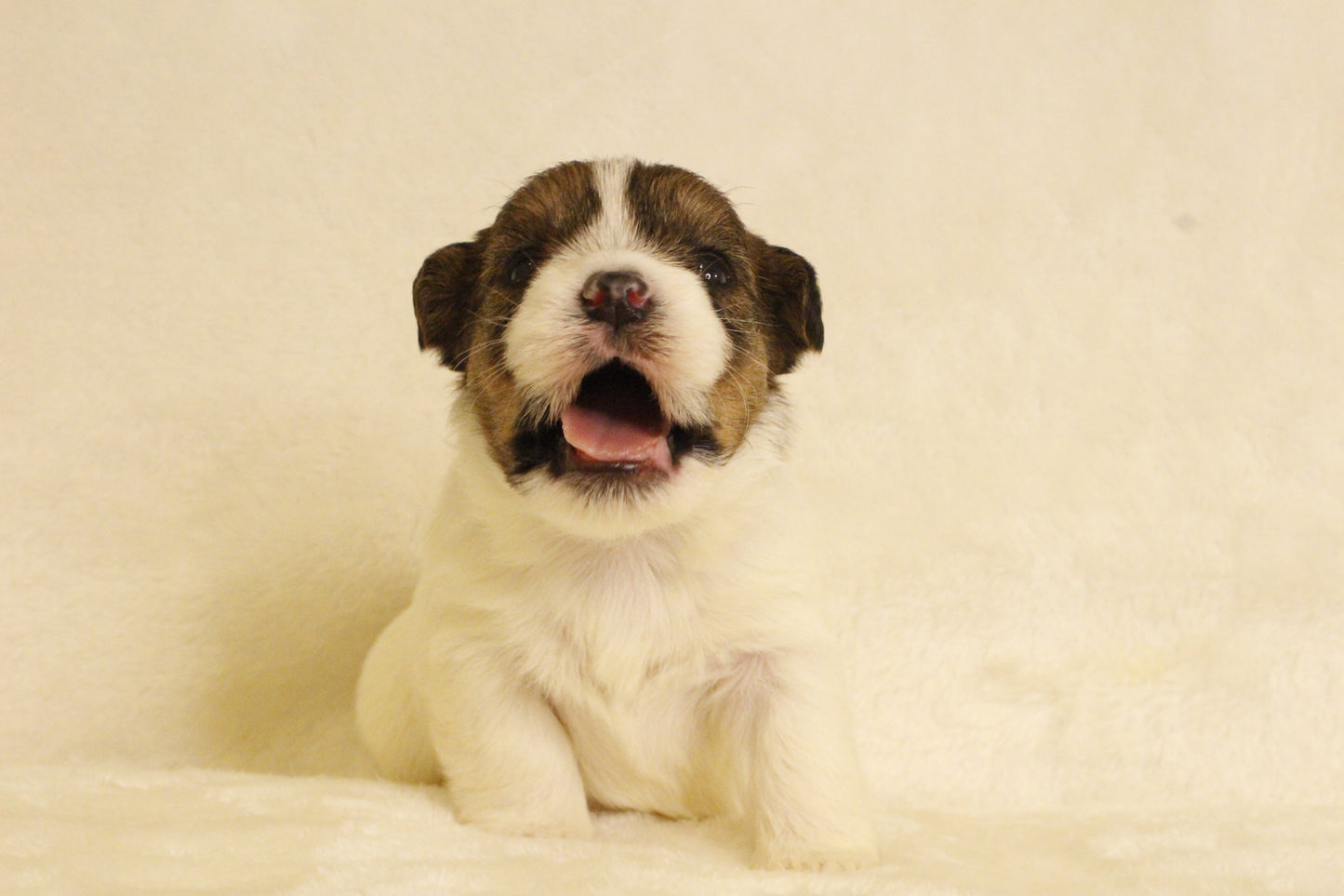 ミルベビー③ 女の子