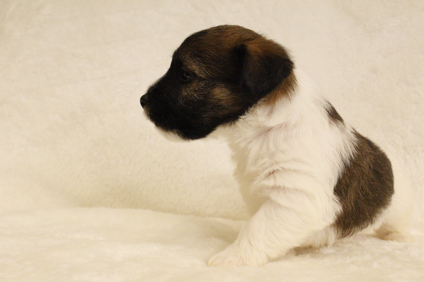 ミルベビー④ 男の子