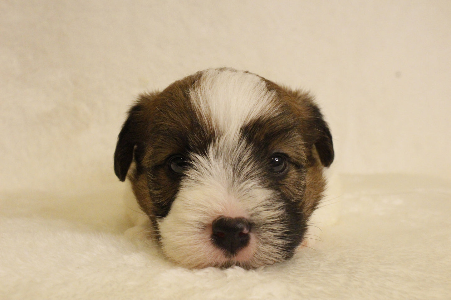 ミルベビー① 男の子