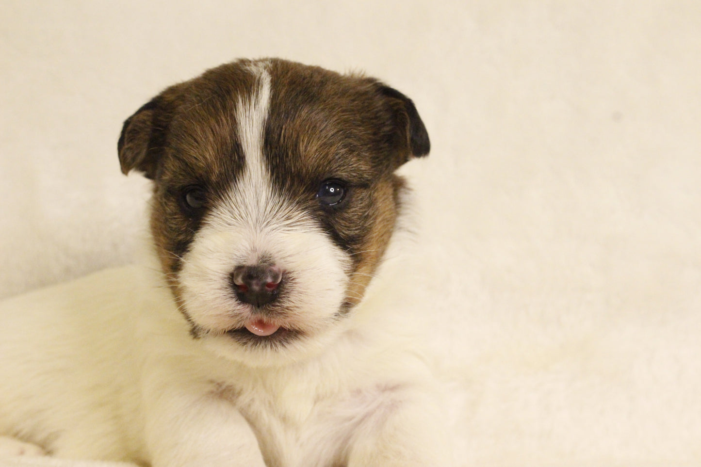 ミルベビー③ 女の子