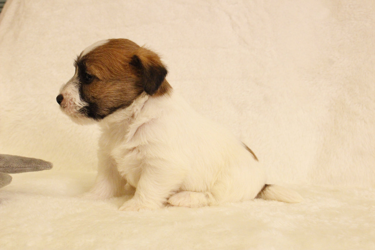 ミルベビー② 男の子