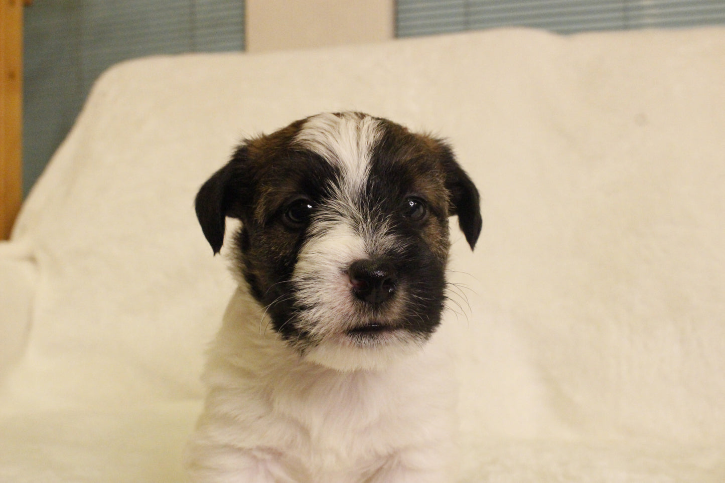 ミルベビー④ 男の子